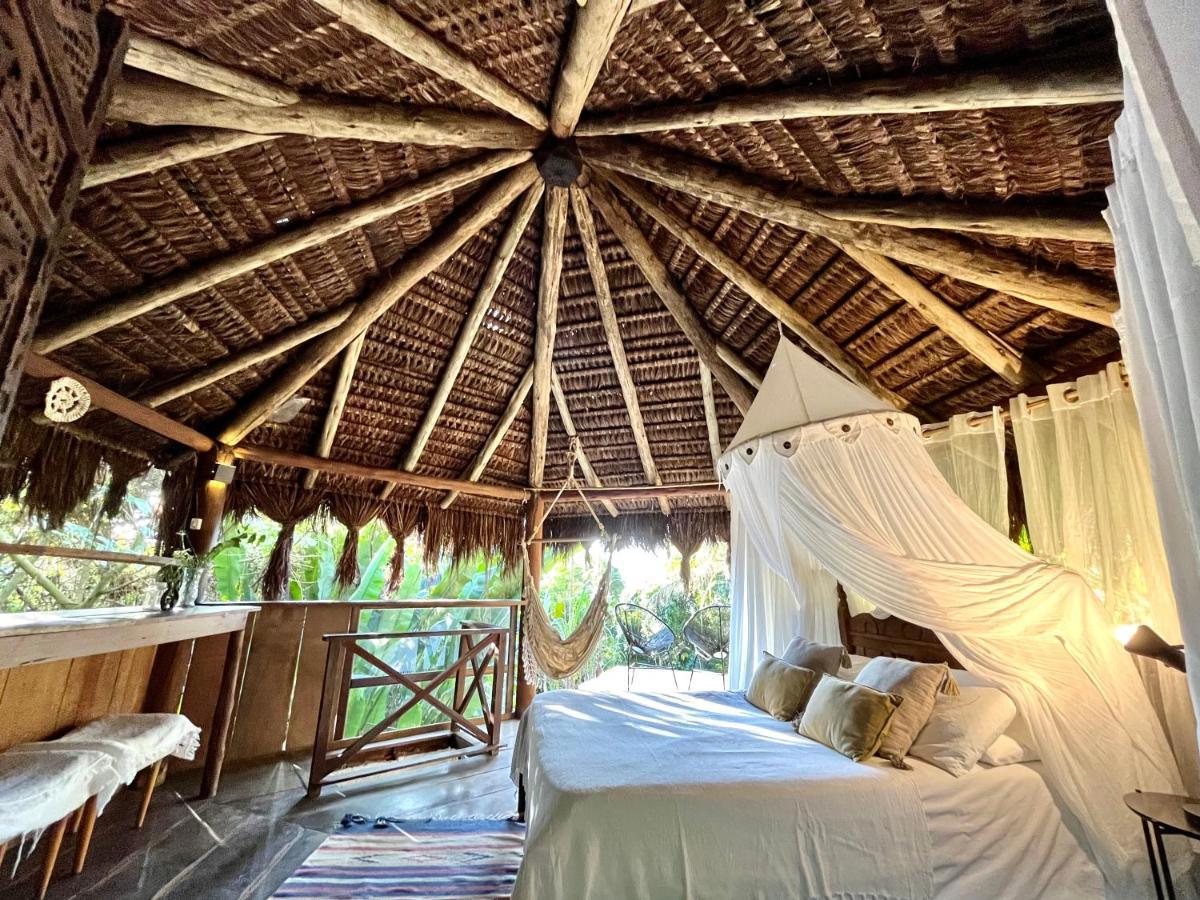 Jungle Lodge Abraão Εξωτερικό φωτογραφία