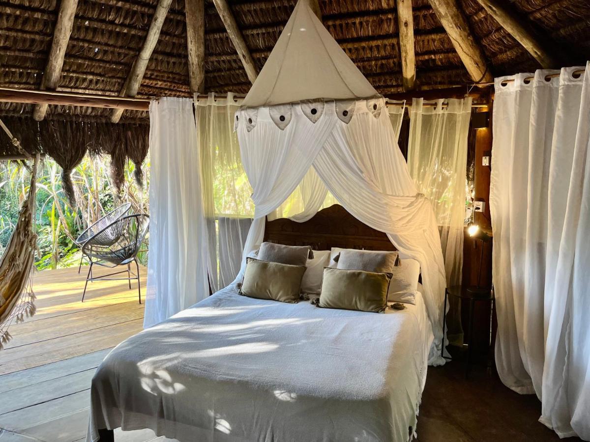 Jungle Lodge Abraão Εξωτερικό φωτογραφία