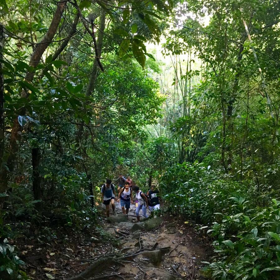Jungle Lodge Abraão Εξωτερικό φωτογραφία
