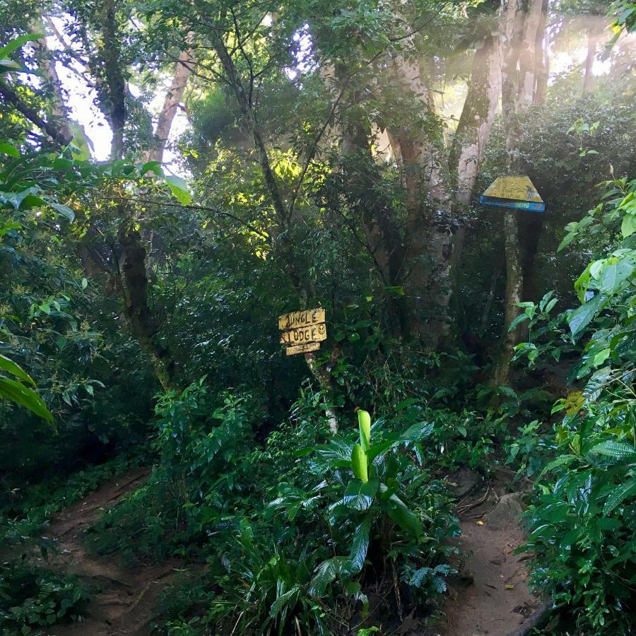 Jungle Lodge Abraão Εξωτερικό φωτογραφία
