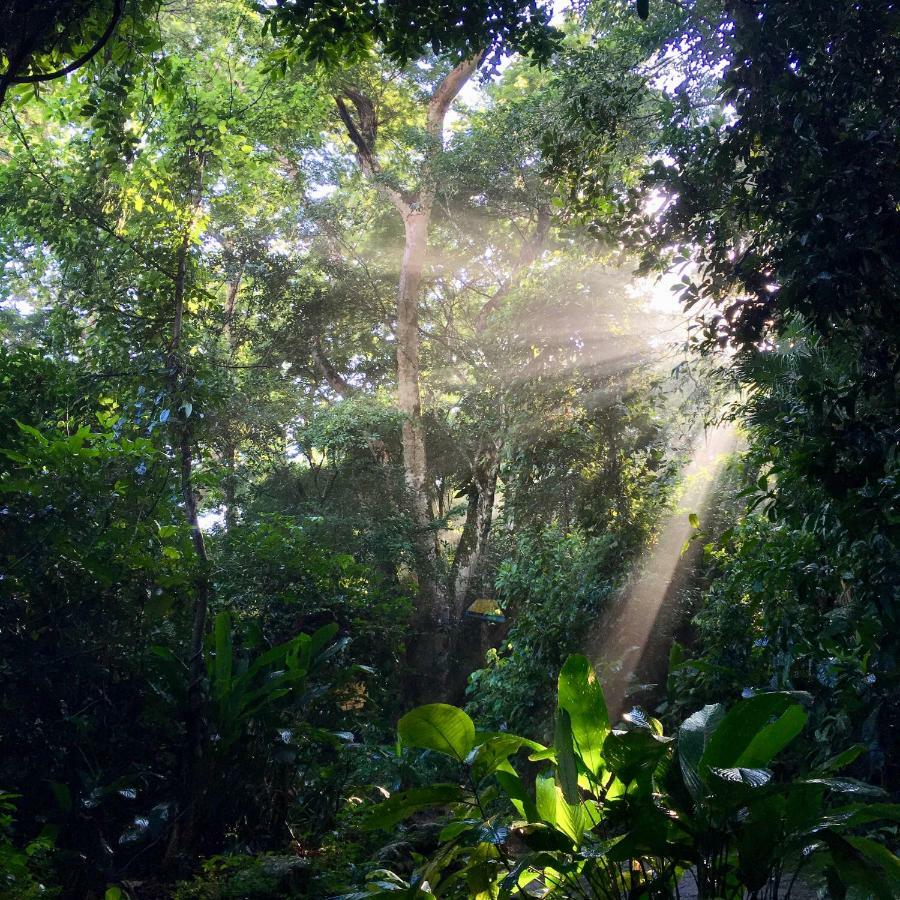 Jungle Lodge Abraão Εξωτερικό φωτογραφία