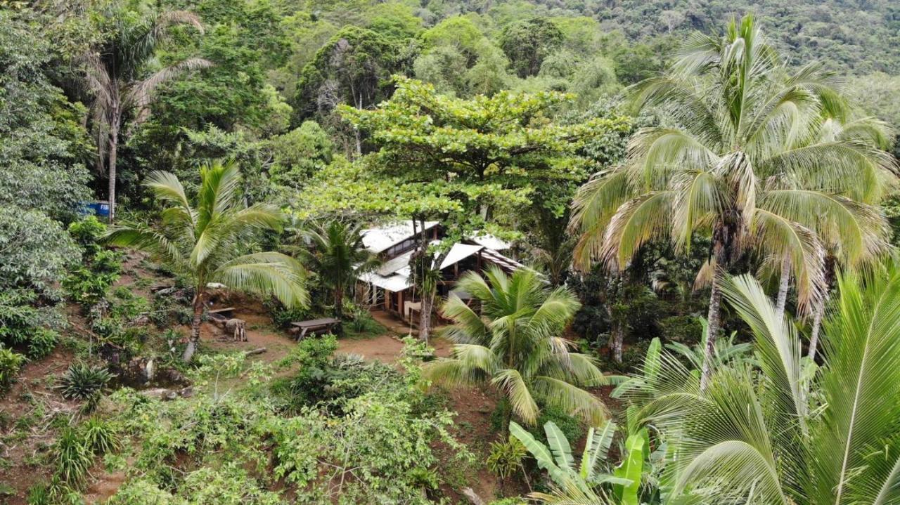 Jungle Lodge Abraão Εξωτερικό φωτογραφία